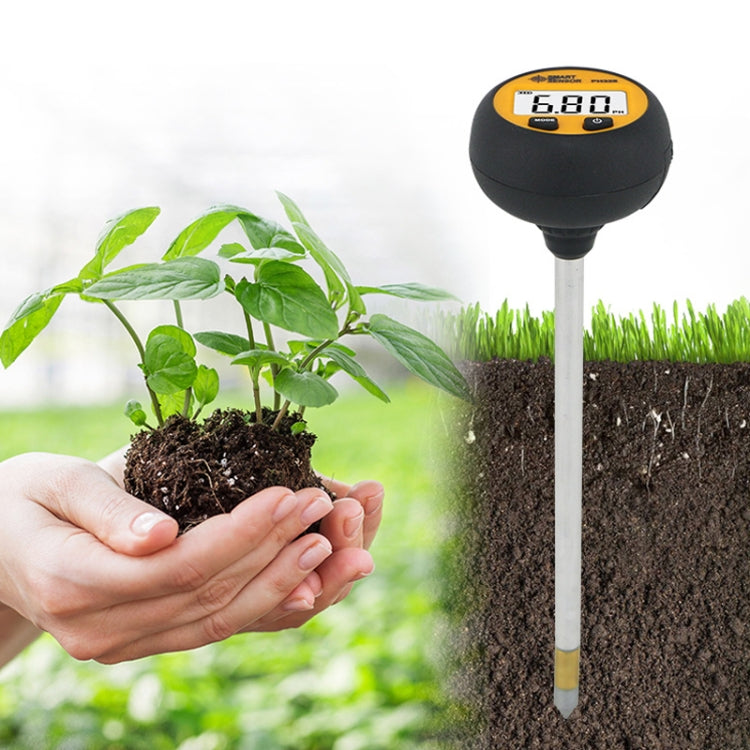 Smart Sensor PH 328 Misuratore di acidità del suolo Fertilizzante Rilevatore di umidità dei nutrienti Smart Sensor PH 328 Misuratore di acidità del suolo Fertilizzante Rilevatore di umidità dei nutrienti